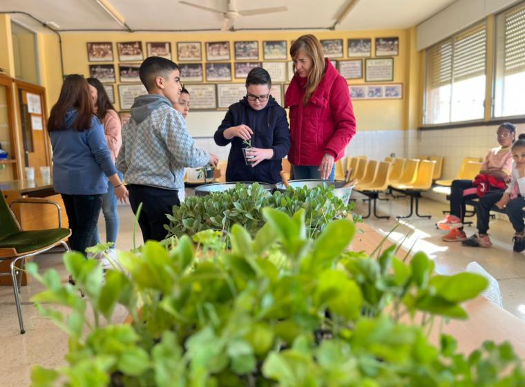 Colaboración del PLANTEL SEMILLEROS con alumnos del CEIP JUAN DE OREA colaboracion-del-plantel-semilleros-con-alumnos-del-ceip-juan-de-orea